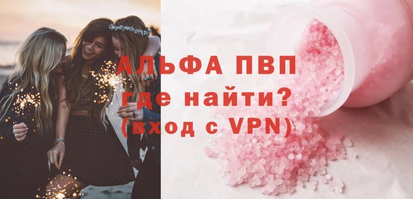 шишки Каменногорск