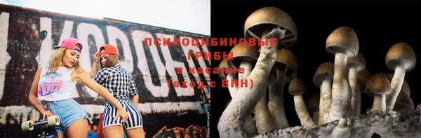 шишки Каменногорск