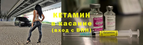 шишки Каменногорск