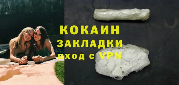 шишки Каменногорск