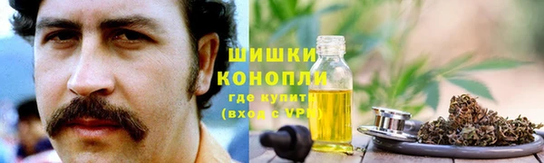 гидра Каменск-Шахтинский