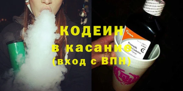 шишки Каменногорск