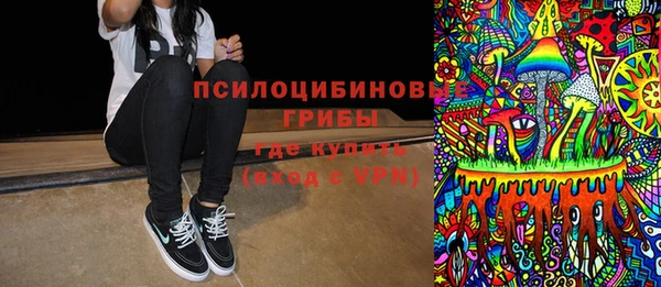 шишки Каменногорск