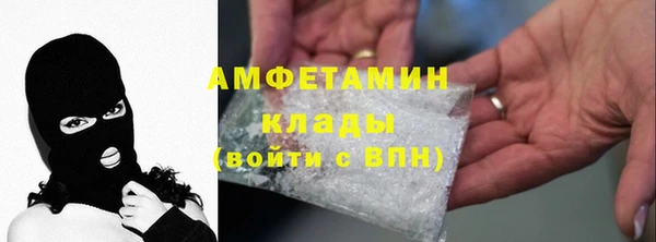 шишки Каменногорск