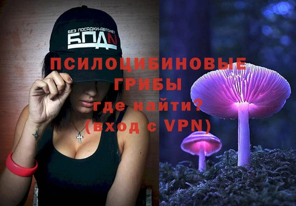 гидра Каменск-Шахтинский