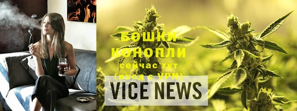 шишки Каменногорск